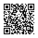 To view this 2013 Ford F-350 SD Idaho Falls from Timberline Auto Sales, please scan this QR code with your smartphone or tablet to view the mobile version of this page.