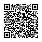 To view this 2025 Ford Transit-250 Cargo Van from Timberline Auto Sales, please scan this QR code with your smartphone or tablet to view the mobile version of this page.