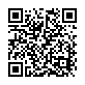 To view this 2009 NISSAN TITAN Idaho Falls ID from Timberline Auto Sales, please scan this QR code with your smartphone or tablet to view the mobile version of this page.