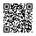 To view this 2024 Ford F-250 Idaho Falls from Timberline Auto Sales, please scan this QR code with your smartphone or tablet to view the mobile version of this page.