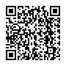 To view this 2004 Volkswagen Jetta Idaho Falls  from Timberline Auto Sales, please scan this QR code with your smartphone or tablet to view the mobile version of this page.
