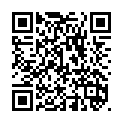 To view this 2007 VOLKSWAGEN JETTA Idaho Falls ID from Timberline Auto Sales, please scan this QR code with your smartphone or tablet to view the mobile version of this page.