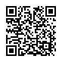 To view this 2008 FORD ECONOLINE Idaho Falls ID from Timberline Auto Sales, please scan this QR code with your smartphone or tablet to view the mobile version of this page.
