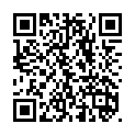 To view this 2023 Ford Transit Idaho Falls  from Timberline Auto Sales, please scan this QR code with your smartphone or tablet to view the mobile version of this page.