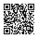 To view this 2019 Ford F-350 Idaho Falls from Timberline Auto Sales, please scan this QR code with your smartphone or tablet to view the mobile version of this page.