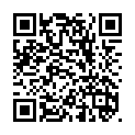 To view this 2014 Ford F-250 Idaho Falls from Timberline Auto Sales, please scan this QR code with your smartphone or tablet to view the mobile version of this page.