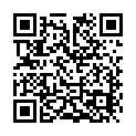 To view this 2005 FORD ECONOLINE Idaho Falls ID from Timberline Auto Sales, please scan this QR code with your smartphone or tablet to view the mobile version of this page.
