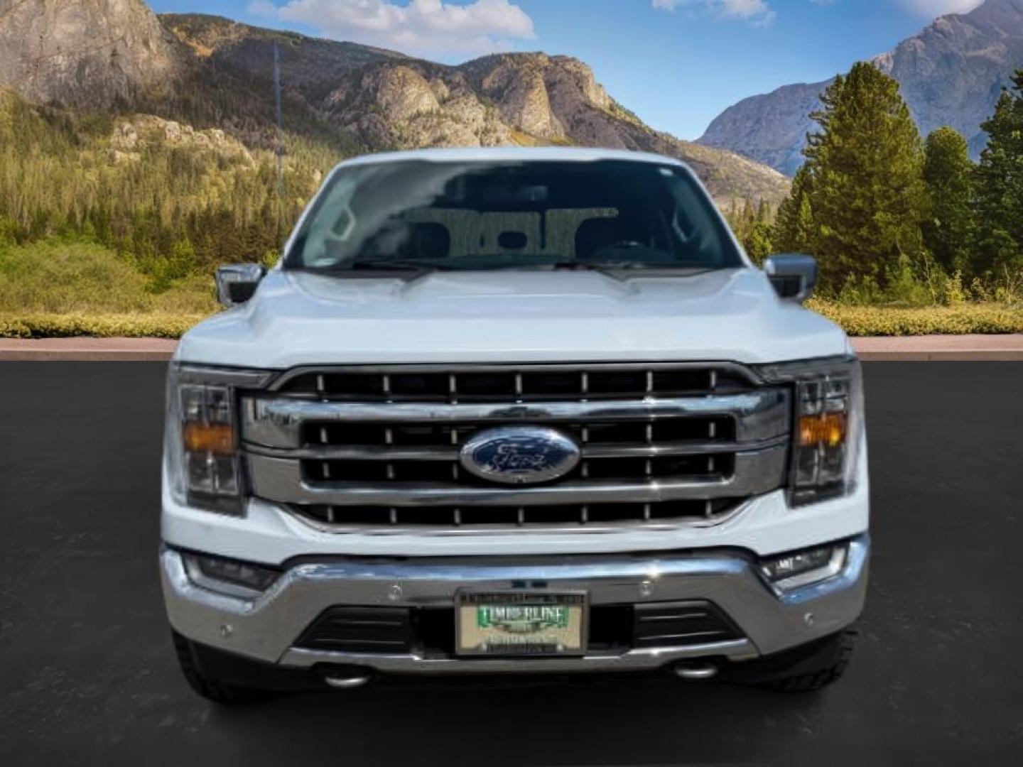 2021 WHITE /BLACK Ford F-150 (1FTFW1E80MK) with an 35L engine, Automatic transmission, located at 1175 N Woodruff Ave, Idaho Falls, ID, 83401, 43.506901, -111.999657 - At Timberline Auto, finding a great deal on your next vehicle is always easy! Our experienced sales staff's goal is to help find you the right vehicle at the right price! Our knowledgeable finance department has options for almost any credit score. We offer extended service contract options to prote - Photo#9