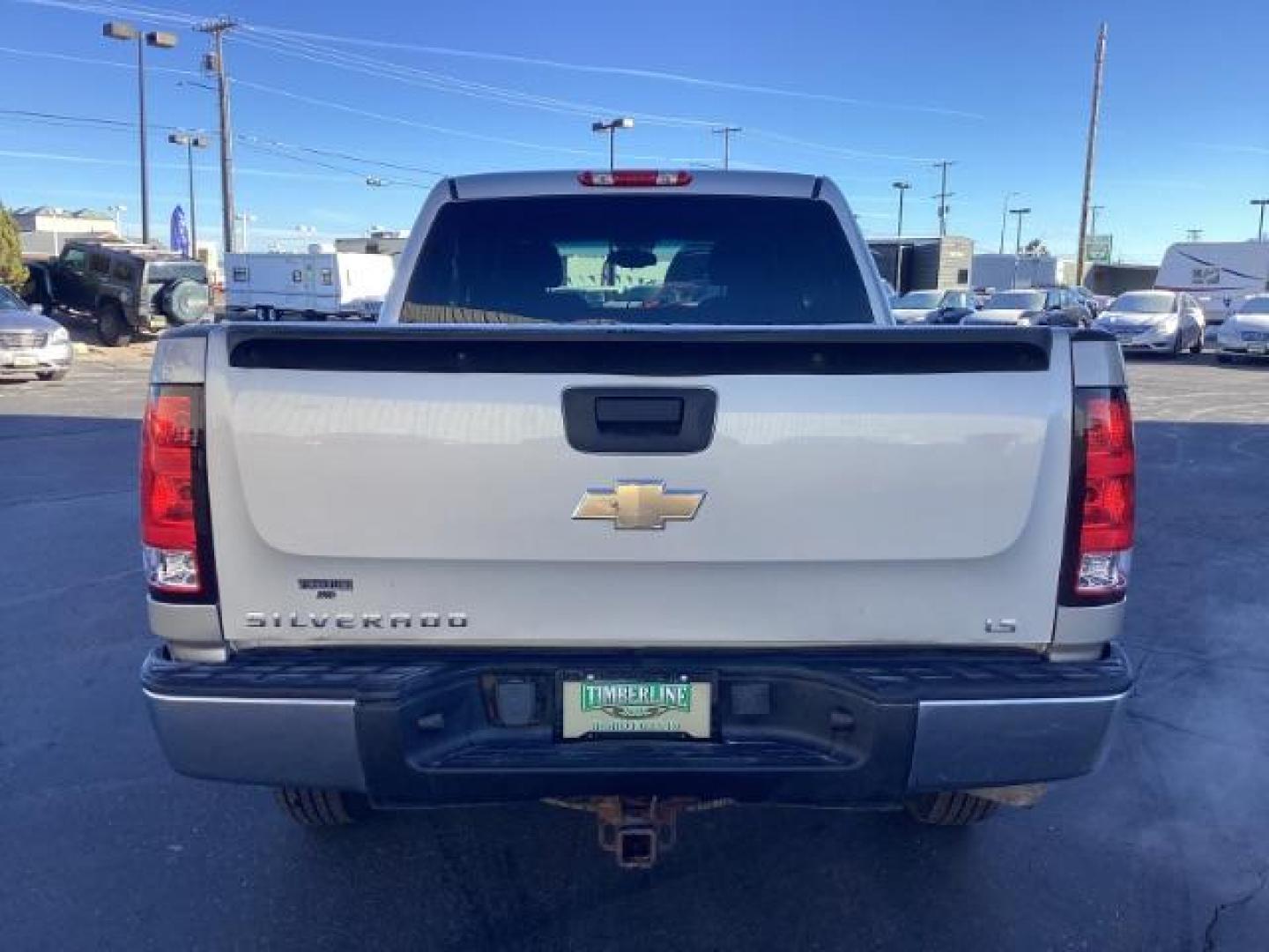 2009 pewter Chevrolet Silverado 1500 LS Crew Cab 4WD (3GCEK13C39G) with an 4.8L V8 OHV 16V engine, 4-Speed Automatic transmission, located at 1235 N Woodruff Ave., Idaho Falls, 83401, (208) 523-1053, 43.507172, -112.000488 - Photo#4