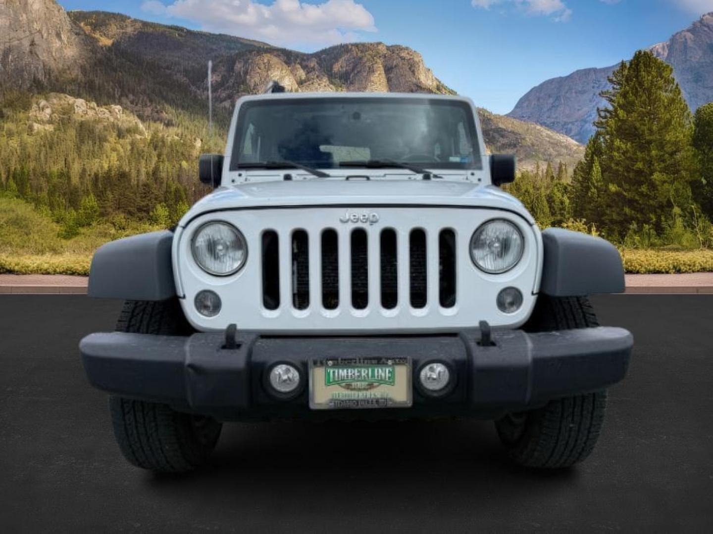 2014 WHITE /CLOTH JEEP WRANGLER RUBICON (1C4BJWCG6EL) with an 3.6L V-6 gasoline direct injection engine, AUTOMATIC transmission, located at 1235 N Woodruff Ave., Idaho Falls, 83401, (208) 523-1053, 43.507172, -112.000488 - Photo#7