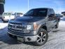 2013 GRAY FORD F150 XLT (1FTFX1ET6DK) with an 6 engine, Automatic transmission, located at 1580 E Lincoln Rd, Idaho Falls, ID, 83401, (208) 523-4000, 0.000000, 0.000000 - Photo #1
