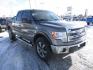 2013 GRAY FORD F150 XLT (1FTFX1ET6DK) with an 6 engine, Automatic transmission, located at 1580 E Lincoln Rd, Idaho Falls, ID, 83401, (208) 523-4000, 0.000000, 0.000000 - Photo #8