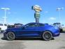2016 BLUE /GREY FORD MUSTANG GT (1FA6P8CF5G5) with an 8 engine, Manual transmission, located at 1580 E Lincoln Rd, Idaho Falls, ID, 83401, (208) 523-4000, 0.000000, 0.000000 - Photo #2
