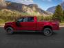 2014 RED /LEATHER Ford F150 (1FTFW1ET1EF) with an 35L V6 engine, Automatic transmission, located at 1175 N Woodruff Ave, Idaho Falls, ID, 83401, 43.506901, -111.999657 - At Timberline Auto, finding a great deal on your next vehicle is always easy! Our experienced sales staff's goal is to help find you the right vehicle at the right price! Our knowledgeable finance department has options for almost any credit score. We offer extended service contract options to prote - Photo#1