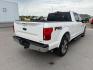 2019 Oxford White /Black Ford F-150 (1FTFW1E48KF) with an EcoBoost 35L V-6 portdirect injection engine, Automatic transmission, located at 1175 N Woodruff Ave, Idaho Falls, ID, 83401, 43.506901, -111.999657 - At Timberline Auto, finding a great deal on your next vehicle is always easy! Our experienced sales staff's goal is to help find you the right vehicle at the right price! Our knowledgeable finance department has options for almost any credit score. We offer extended service contract options to prote - Photo#6