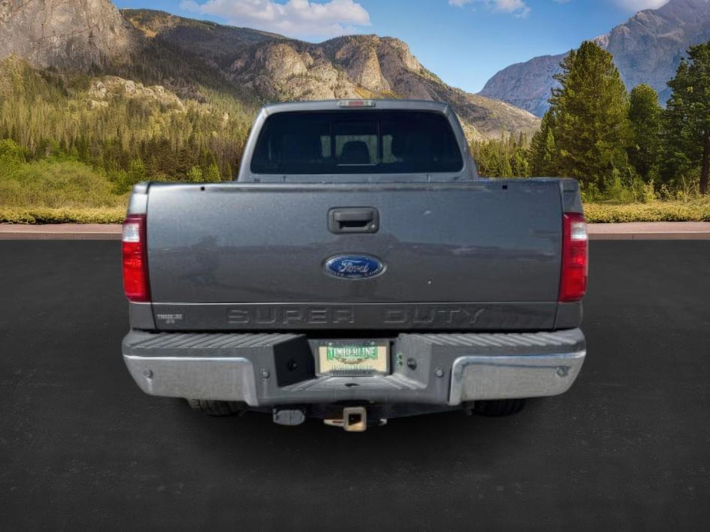 2012 GRAY /CLOTH Ford F-350 SD (1FT8W3BT1CE) with an 67L V8 OHV 16V DIESEL engine, Automatic transmission, located at 1175 N Woodruff Ave, Idaho Falls, ID, 83401, 43.506901, -111.999657 - At Timberline Auto, finding a great deal on your next vehicle is always easy! Our experienced sales staff's goal is to help find you the right vehicle at the right price! Our knowledgeable finance department has options for almost any credit score. We offer extended service contract options to prote - Photo#3