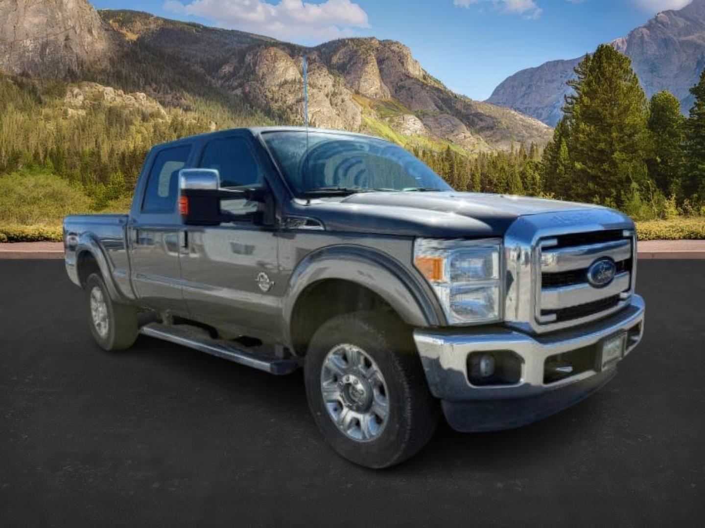 2012 GRAY /CLOTH Ford F-350 SD (1FT8W3BT1CE) with an 67L V8 OHV 16V DIESEL engine, Automatic transmission, located at 1175 N Woodruff Ave, Idaho Falls, ID, 83401, 43.506901, -111.999657 - At Timberline Auto, finding a great deal on your next vehicle is always easy! Our experienced sales staff's goal is to help find you the right vehicle at the right price! Our knowledgeable finance department has options for almost any credit score. We offer extended service contract options to prote - Photo#6