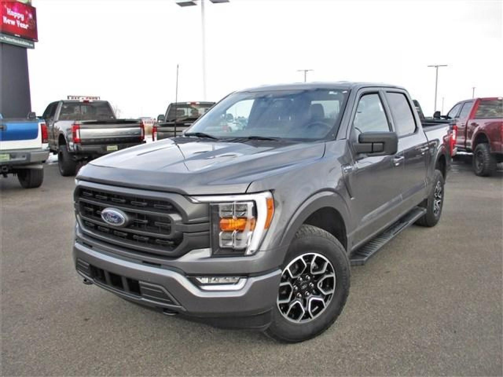 2022 GRAY /BLACK FORD F150 SPORT (1FTFW1E86NK) with an 6 engine, located at 1235 N Woodruff Ave., Idaho Falls, 83401, (208) 523-1053, 43.507172, -112.000488 - Still has the new car smell! They don't make XLT's like they used to. This near base model halfton pickup is comparable to older model upper packages. Outside you see the factory sport wheels, wide running boards, and color matched bumpers. Inside you see an inviting cloth grey interior with dual po - Photo #1