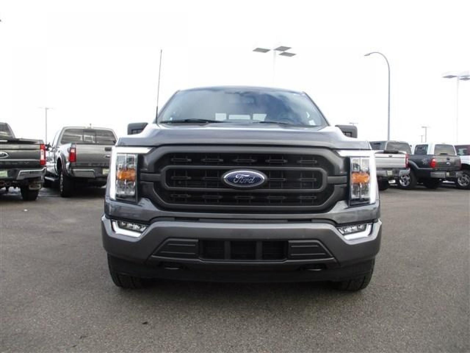 2022 GRAY /BLACK FORD F150 SPORT (1FTFW1E86NK) with an 6 engine, located at 1235 N Woodruff Ave., Idaho Falls, 83401, (208) 523-1053, 43.507172, -112.000488 - Still has the new car smell! They don't make XLT's like they used to. This near base model halfton pickup is comparable to older model upper packages. Outside you see the factory sport wheels, wide running boards, and color matched bumpers. Inside you see an inviting cloth grey interior with dual po - Photo #8