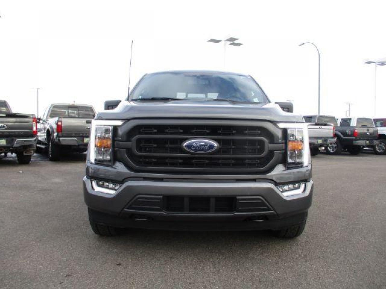 2022 Carbonized Gray Metallic /Black/Medium Dark Slate Ford F-150 Sport SuperCrew 5.5-ft. Bed 4WD (1FTFW1E86NK) with an 3.5L V6 DOHC 24V engine, 10-Speed Automatic transmission, located at 1235 N Woodruff Ave., Idaho Falls, 83401, (208) 523-1053, 43.507172, -112.000488 - Outside you see the factory sport wheels, wide running boards, and color matched bumpers. Inside you see an inviting cloth grey interior with dual power seats, heated seats, a large 12 inch touchscreen display offering a high definition back up camera, blind spot monitors, lane assist, remote start, - Photo #8