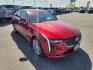 2022 Infrared Tintcoat /Cinnamon w/Jet Black Accents Cadillac CT4 Premium Luxury (1G6DF5RL7N0) with an 2.7L L4 DOHC 16V TURBO engine, 8-Speed Automatic transmission, located at 1235 N Woodruff Ave., Idaho Falls, 83401, (208) 523-1053, 43.507172, -112.000488 - Wow, just wow!! This is one really nice car! It will check all the boxes- fuel efficient, powerful, AWD, comfortable, luxurious, great looking, roomy, fun to drive, the list goes on and on! It has all the driver safety options, heads up display, adjustable driving specs, navigation, Apple car play, - Photo#8
