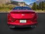 2022 Infrared Tintcoat /Cinnamon w/Jet Black Accents Cadillac CT4 (1G6DF5RL7N0) with an 27L L4 DOHC 16V TURBO engine, Automatic transmission, located at 1175 N Woodruff Ave, Idaho Falls, ID, 83401, 43.506901, -111.999657 - Wow, just wow!! This is one really nice car! It will check all the boxes- fuel efficient, powerful, AWD, comfortable, luxurious, great looking, roomy, fun to drive, the list goes on and on! It has all the driver safety options, heads up display, adjustable driving specs, navigation, Apple car play, - Photo#4