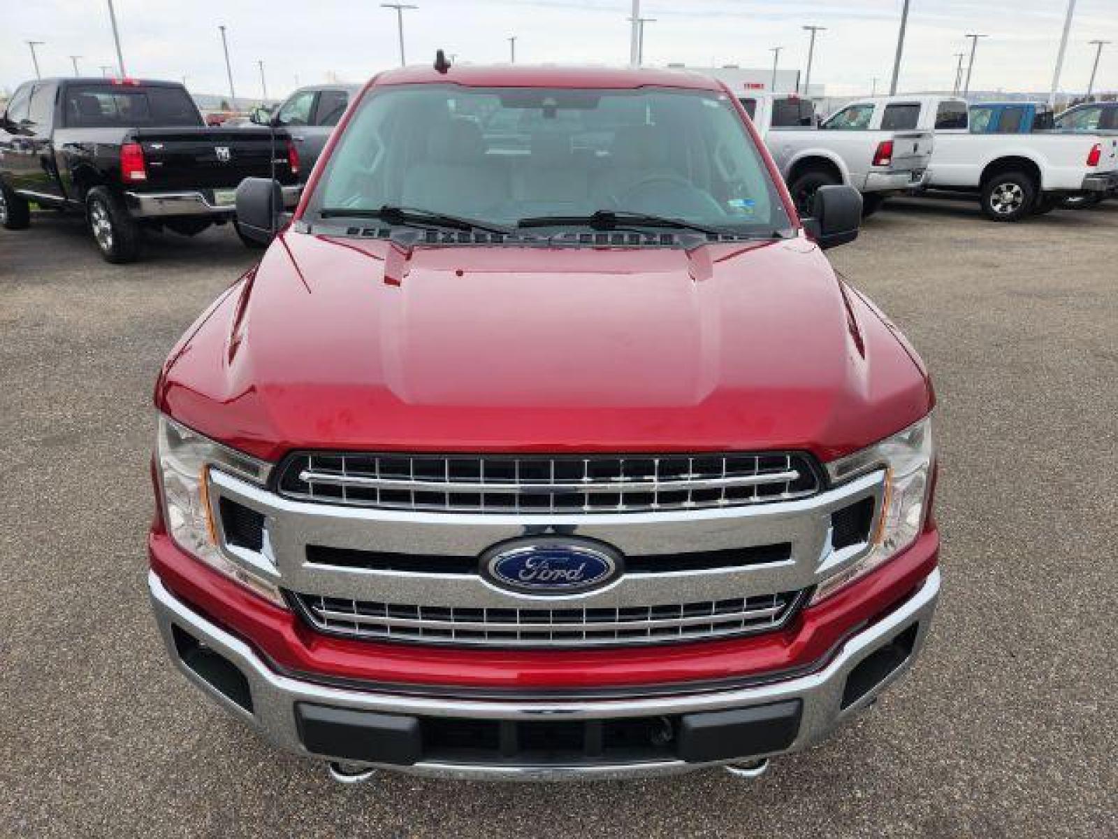 2019 Ruby Red Metallic Tinted Clear Coat /Medium Earth Gray, cloth Ford F-150 XLT SuperCrew 5.5-ft. Bed 4WD (1FTEW1EP4KK) with an 2.7L V6 DOHC 24V engine, Automatic transmission, located at 1235 N Woodruff Ave., Idaho Falls, 83401, (208) 523-1053, 43.507172, -112.000488 - Here is your new pre-owned 2019 Ford F-150 XLT with low miles! This pickup is as clean today as it was the day it rolled off of the assembly line! The SuperCrew has all the leg room you need and then some! Your vehicle comes with near new GOOD YEAR WRANGLER tires with 95% tread left on them. Come on - Photo #9