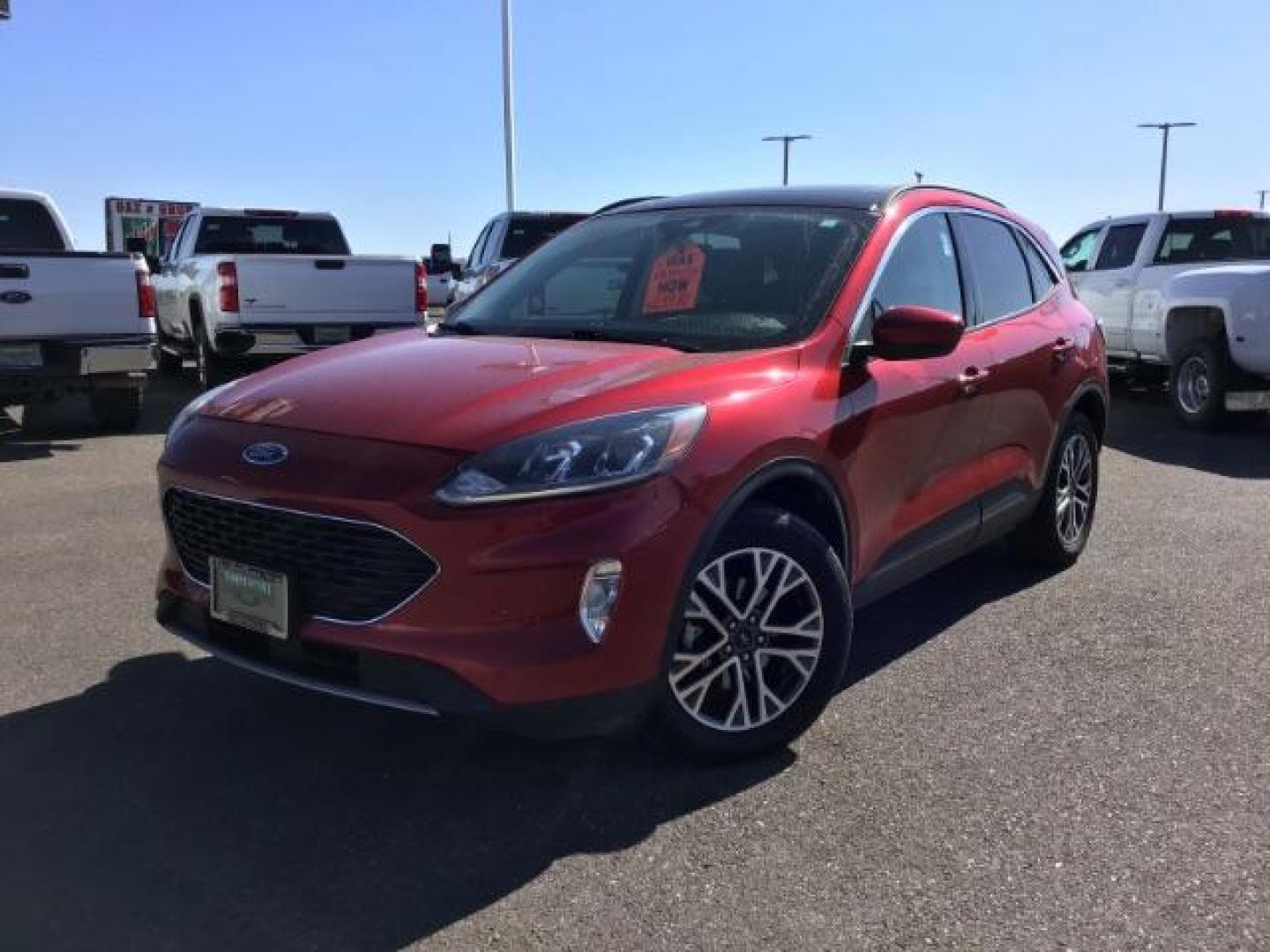 2021 Rapid Red Metallic Tinted Clearcoat /Ebony Ford Escape SEL AWD (1FMCU9H62MU) with an 1.5L L3 engine, 8-Speed Automatic transmission, located at 1235 N Woodruff Ave., Idaho Falls, 83401, (208) 523-1053, 43.507172, -112.000488 - 2021 Ford Escape SEL package with the 1.5L EcoBoost engine, heated seats, remote start, dual moonroof, and so much more! At Timberline Auto it is always easy to find a great deal on your next vehicle! Our experienced sales staff can help find the right vehicle that will fit your needs. Our knowled - Photo#1