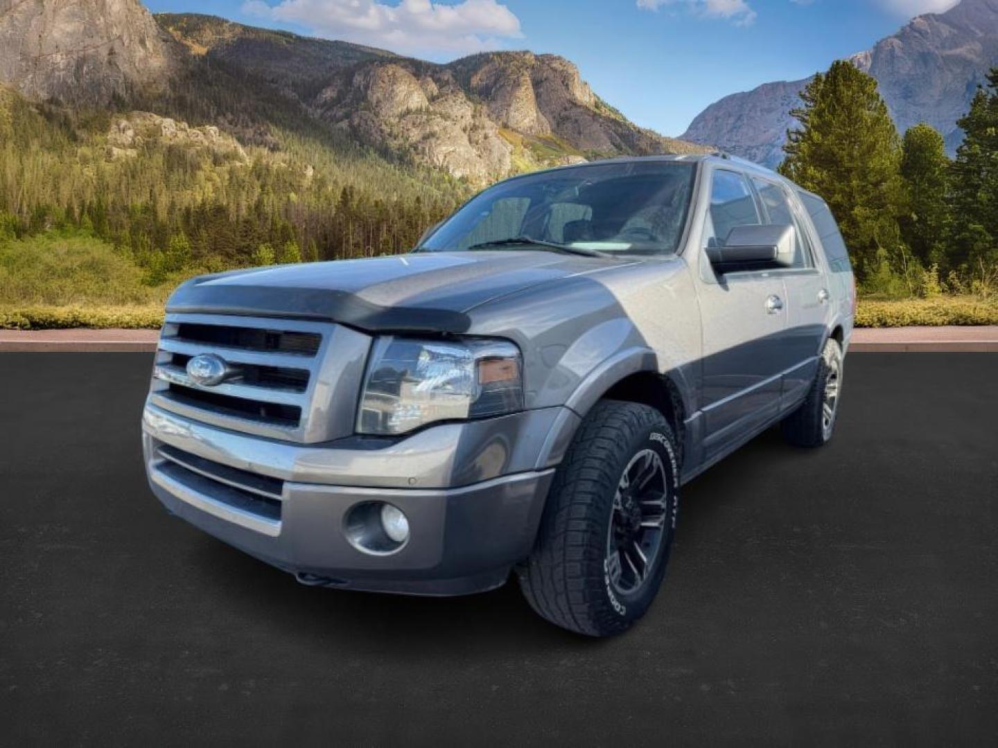 2012 GRAY /BLACK Ford Expedition (1FMJU2A58CE) with an 54L V8 SOHC 16V FFV engine, Automatic transmission, located at 1175 N Woodruff Ave, Idaho Falls, ID, 83401, 43.506901, -111.999657 - At Timberline Auto, finding a great deal on your next vehicle is always easy! Our experienced sales staff's goal is to help find you the right vehicle at the right price! Our knowledgeable finance department has options for almost any credit score. We offer extended service contract options to prote - Photo#0