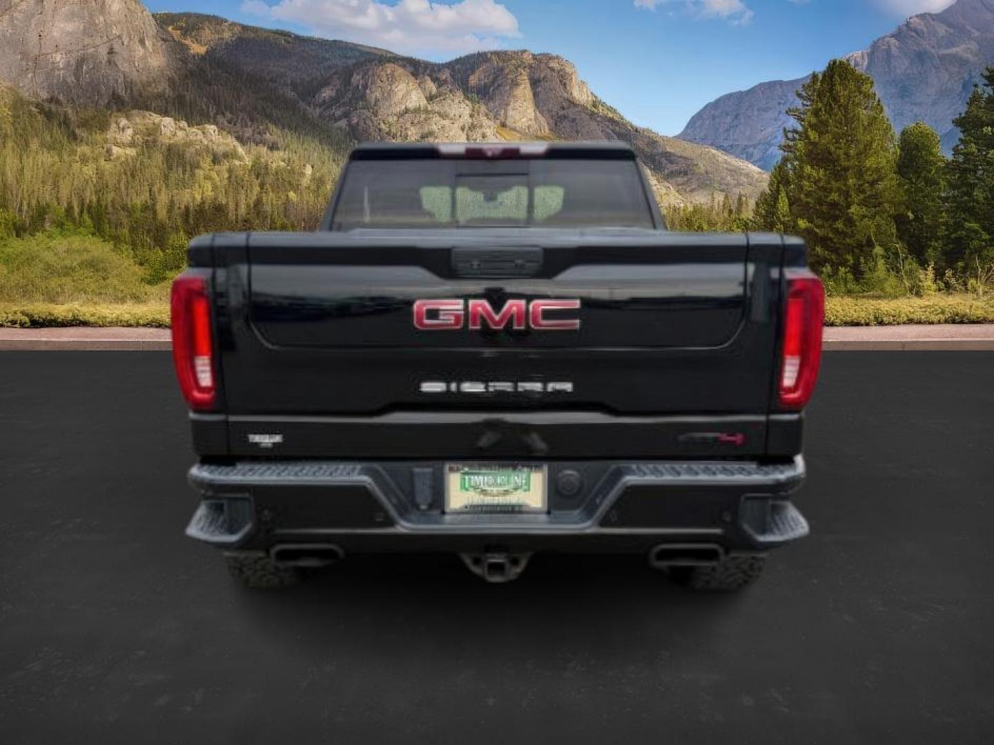 2020 Onyx Black /Jet Black w/Kalahari Accents, leather GMC Sierra 1500 (1GTP9EEL2LZ) with an 62L V8 OHV 16V engine, Automatic transmission, located at 1175 N Woodruff Ave, Idaho Falls, ID, 83401, 43.506901, -111.999657 - At Timberline Auto, finding a great deal on your next vehicle is always easy! Our experienced sales staff's goal is to help find you the right vehicle at the right price! Our knowledgeable finance department has options for almost any credit score. We offer extended service contract options to prote - Photo#3
