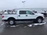 2013 WHITE /CLOTH Ford F-150 XLT SuperCrew 5.5-ft. Bed 4WD (1FTFW1ET9DF) with an 3.5L V6 TURBO engine, 6-Speed Automatic transmission, located at 1235 N Woodruff Ave., Idaho Falls, 83401, (208) 523-1053, 43.507172, -112.000488 - This 2013 Ford F150 XLT 4x4, has the 3.5L ecoboost motor. It has 138,000 miles. It comes with cloth seats, blue tooth audio, power door locks, power windows, and cruise control. **At Timberline Auto it is always easy to find a great deal on your next vehicle! Our experienced sales staff can help fin - Photo#5