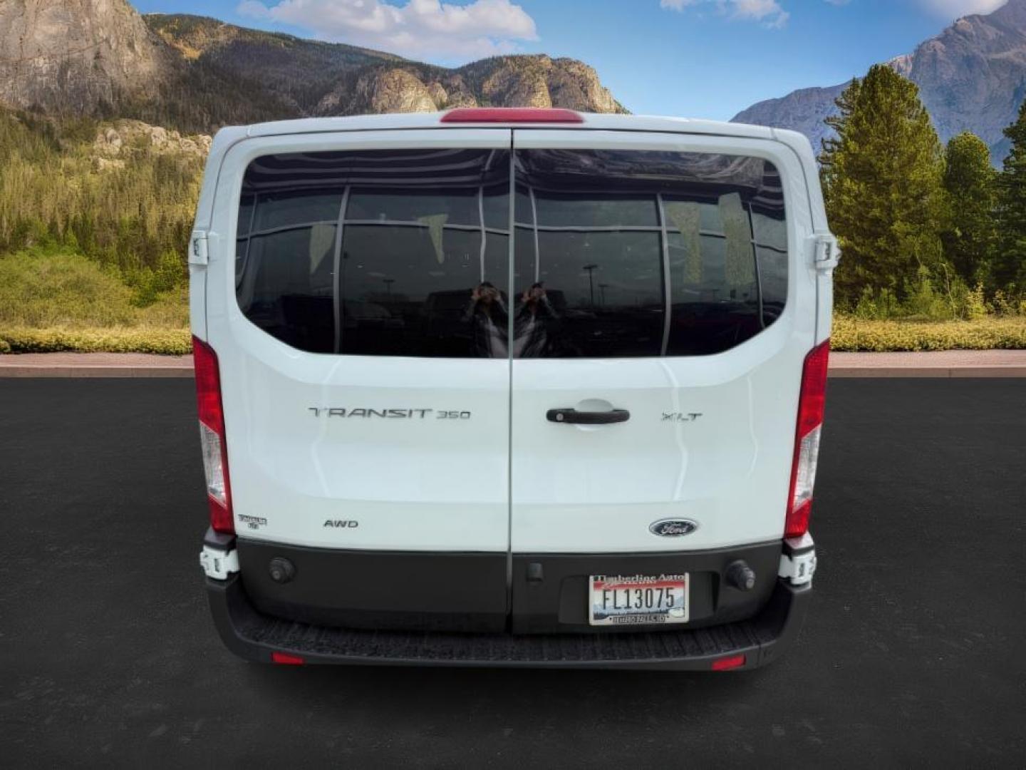 2020 WHITE /CLOTH Ford Transit (1FBAX9Y80LK) with an 35L V6 DOHC 24V engine, Automatic transmission, located at 1175 N Woodruff Ave, Idaho Falls, ID, 83401, 43.506901, -111.999657 - At Timberline Auto, finding a great deal on your next vehicle is always easy! Our experienced sales staff's goal is to help find you the right vehicle at the right price! Our knowledgeable finance department has options for almost any credit score. We offer extended service contract options to prote - Photo#4