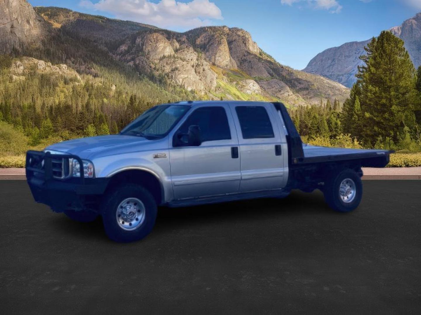 2002 SILVER /Medium Flint Cloth Trim Ford F-250 SD (1FTNW21F02E) with an 73L V8 OHV 16V TURBO DIESEL engine, Automatic transmission, located at 1175 N Woodruff Ave, Idaho Falls, ID, 83401, 43.506901, -111.999657 - At Timberline Auto, finding a great deal on your next vehicle is always easy! Our experienced sales staff's goal is to help find you the right vehicle at the right price! Our knowledgeable finance department has options for almost any credit score. We offer extended service contract options to prote - Photo#0