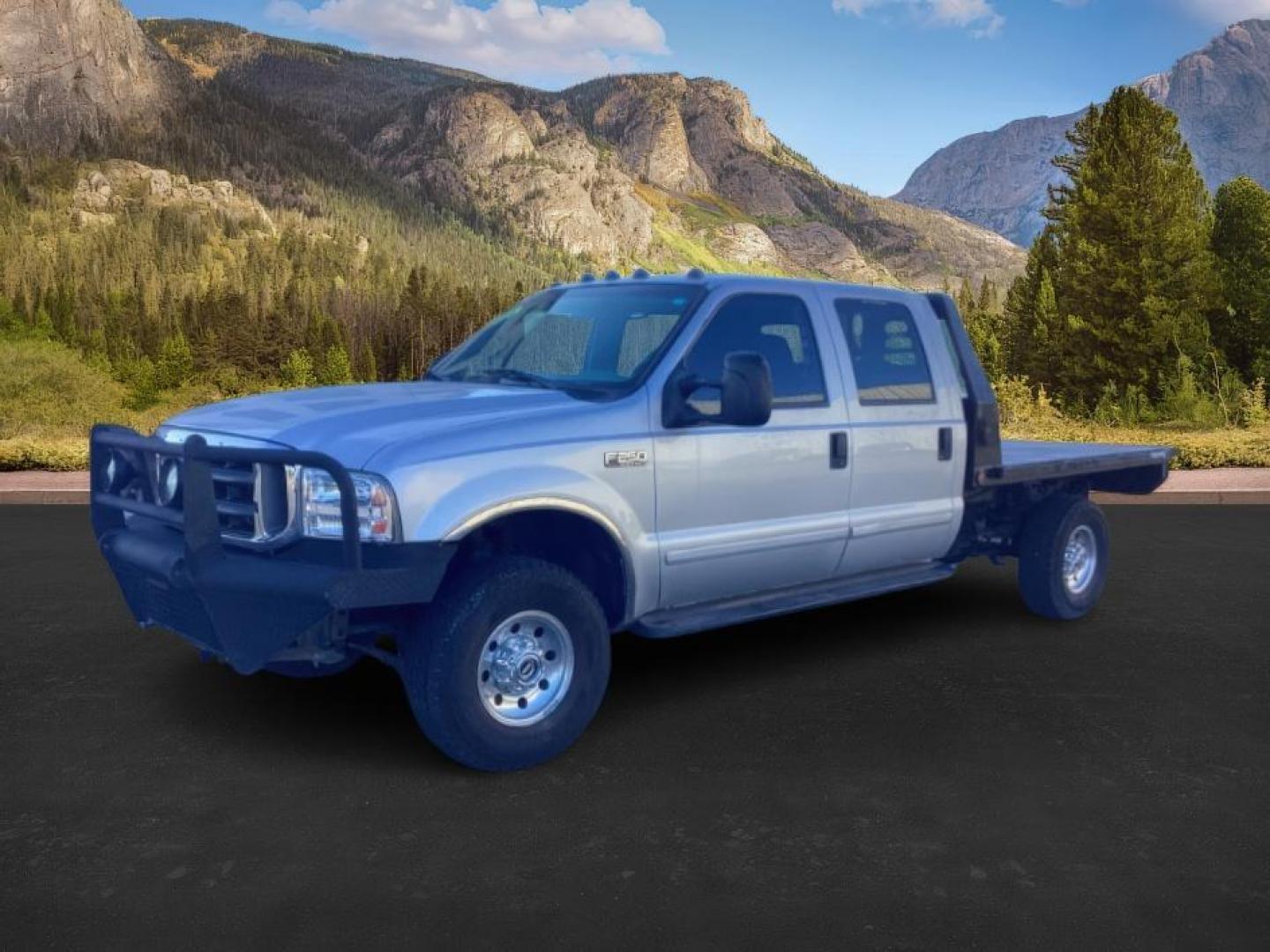2002 SILVER /Medium Flint Cloth Trim Ford F-250 SD (1FTNW21F02E) with an 73L V8 OHV 16V TURBO DIESEL engine, Automatic transmission, located at 1175 N Woodruff Ave, Idaho Falls, ID, 83401, 43.506901, -111.999657 - At Timberline Auto, finding a great deal on your next vehicle is always easy! Our experienced sales staff's goal is to help find you the right vehicle at the right price! Our knowledgeable finance department has options for almost any credit score. We offer extended service contract options to prote - Photo#1
