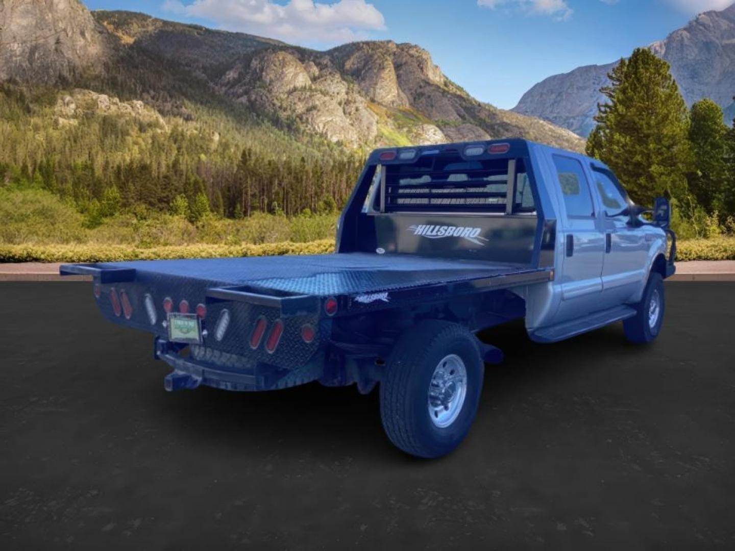 2002 SILVER /Medium Flint Cloth Trim Ford F-250 SD (1FTNW21F02E) with an 73L V8 OHV 16V TURBO DIESEL engine, Automatic transmission, located at 1175 N Woodruff Ave, Idaho Falls, ID, 83401, 43.506901, -111.999657 - At Timberline Auto, finding a great deal on your next vehicle is always easy! Our experienced sales staff's goal is to help find you the right vehicle at the right price! Our knowledgeable finance department has options for almost any credit score. We offer extended service contract options to prote - Photo#5