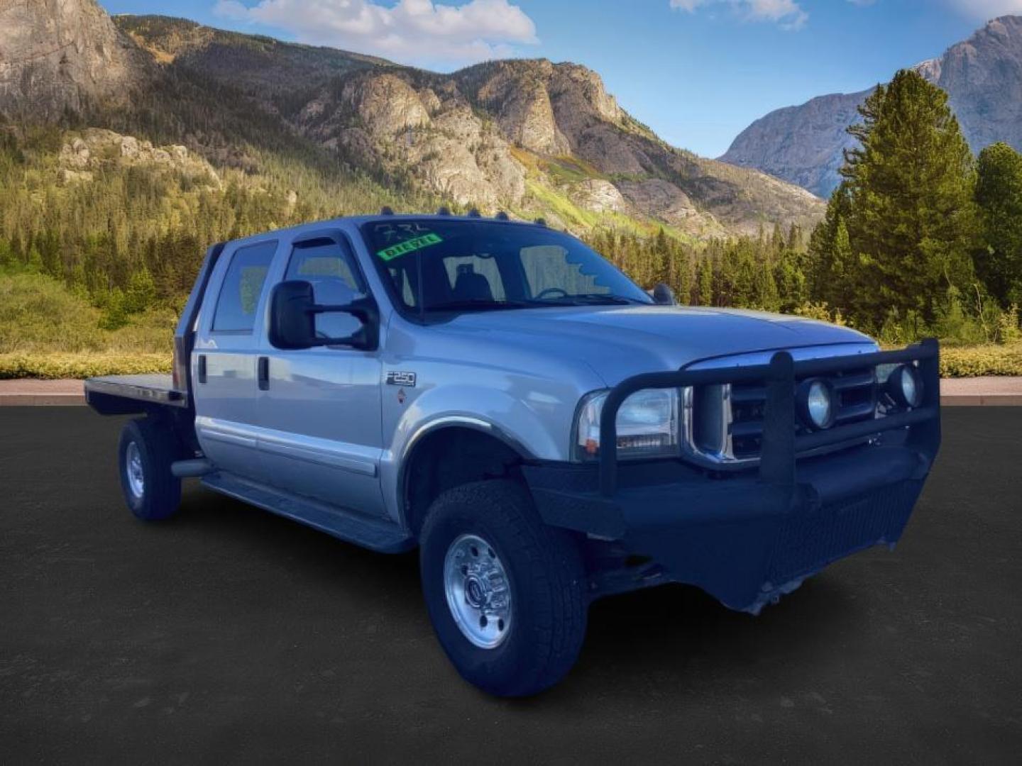 2002 SILVER /Medium Flint Cloth Trim Ford F-250 SD (1FTNW21F02E) with an 73L V8 OHV 16V TURBO DIESEL engine, Automatic transmission, located at 1175 N Woodruff Ave, Idaho Falls, ID, 83401, 43.506901, -111.999657 - At Timberline Auto, finding a great deal on your next vehicle is always easy! Our experienced sales staff's goal is to help find you the right vehicle at the right price! Our knowledgeable finance department has options for almost any credit score. We offer extended service contract options to prote - Photo#8