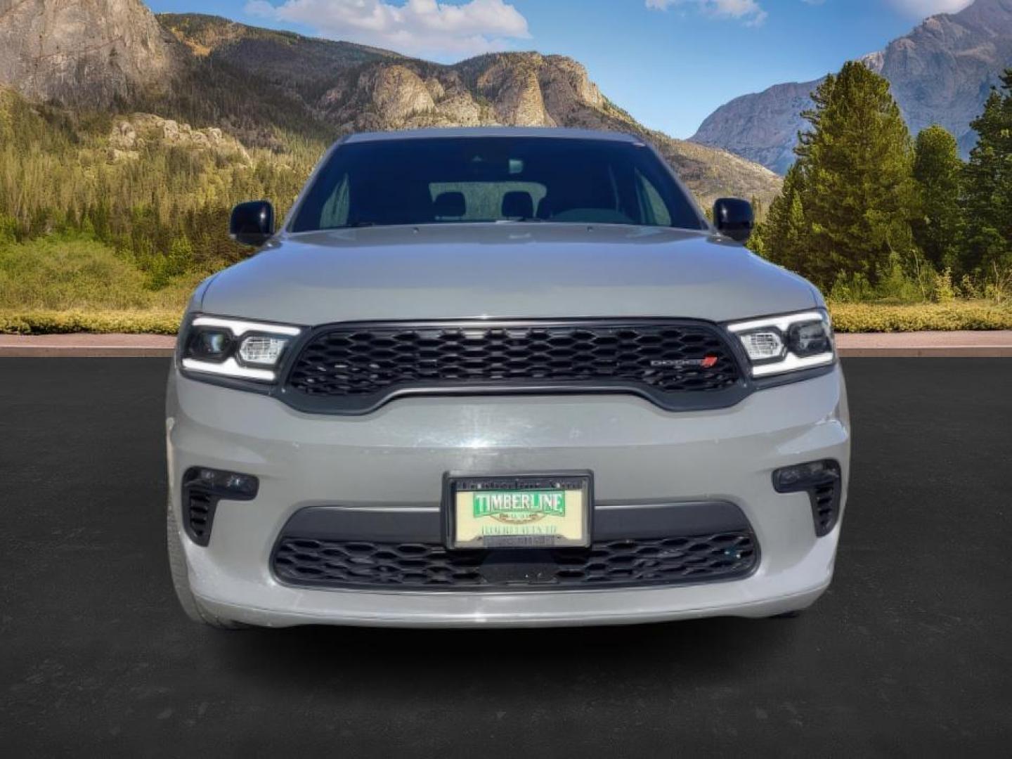 2023 Destroyer Grey Clear Coat /Black Dodge Durango (1C4RDJDG9PC) with an 36L V6 DOHC 24V engine, Automatic transmission, located at 1175 N Woodruff Ave, Idaho Falls, ID, 83401, 43.506901, -111.999657 - At Timberline Auto, finding a great deal on your next vehicle is always easy! Our experienced sales staff's goal is to help find you the right vehicle at the right price! Our knowledgeable finance department has options for almost any credit score. We offer extended service contract options to prote - Photo#8
