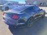 2020 GRAY /CLOTH Ford Mustang EcoBoost Premium Coupe (1FA6P8TH3L5) with an 2.3 engine, AUTOMATIC transmission, located at 1235 N Woodruff Ave., Idaho Falls, 83401, (208) 523-1053, 43.507172, -112.000488 - At Timberline Auto, finding a great deal on your next vehicle is always easy! Our experienced sales staff's goal is to help find you the right vehicle at the right price! Our knowledgeable finance department has options for almost any credit score. We offer extended service contract options to prote - Photo#5