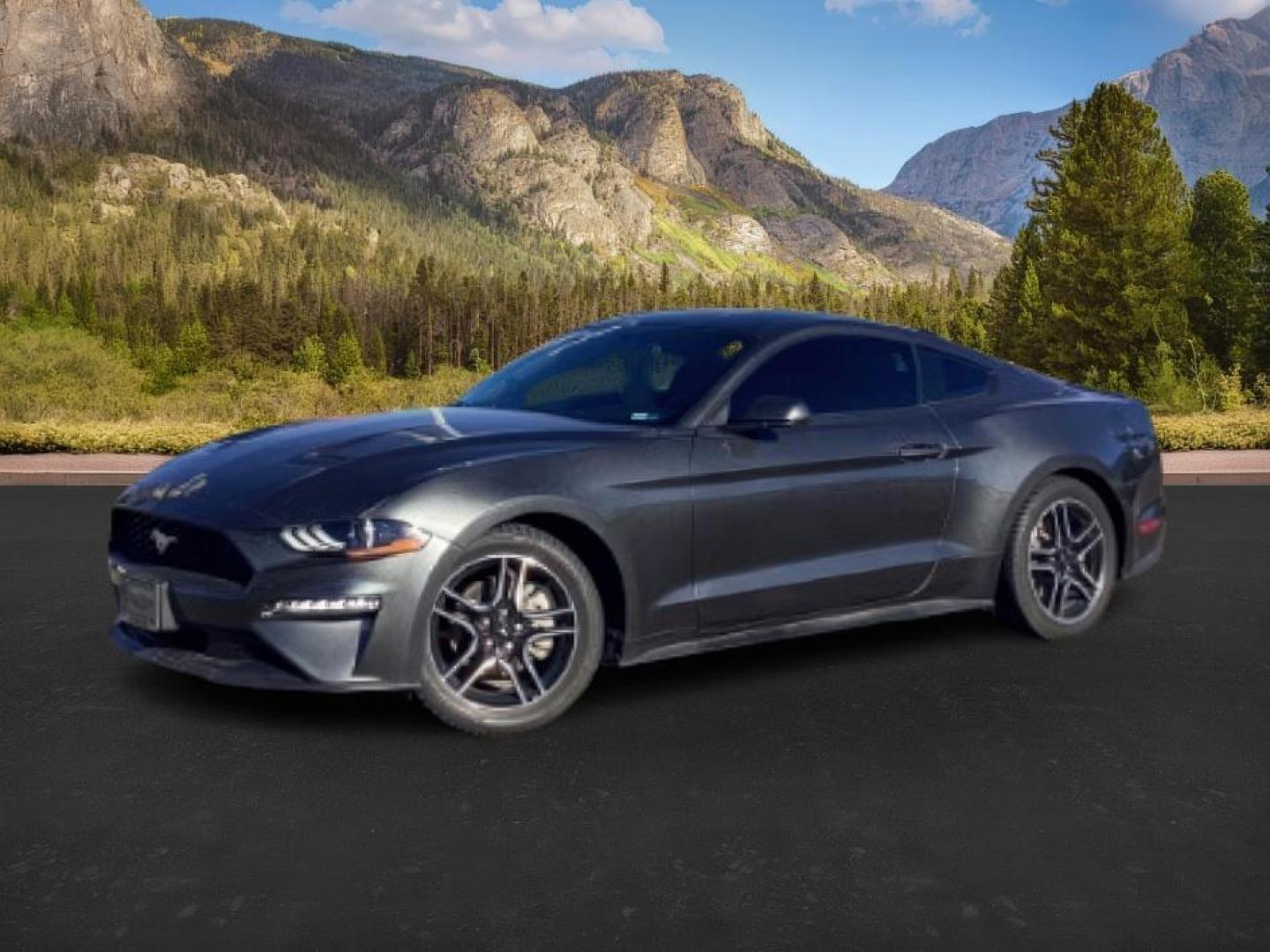 2020 GRAY /CLOTH Ford Mustang (1FA6P8TH3L5) with an 23 engine, Automatic transmission, located at 1175 N Woodruff Ave, Idaho Falls, ID, 83401, 43.506901, -111.999657 - At Timberline Auto, finding a great deal on your next vehicle is always easy! Our experienced sales staff's goal is to help find you the right vehicle at the right price! Our knowledgeable finance department has options for almost any credit score. We offer extended service contract options to prote - Photo#0