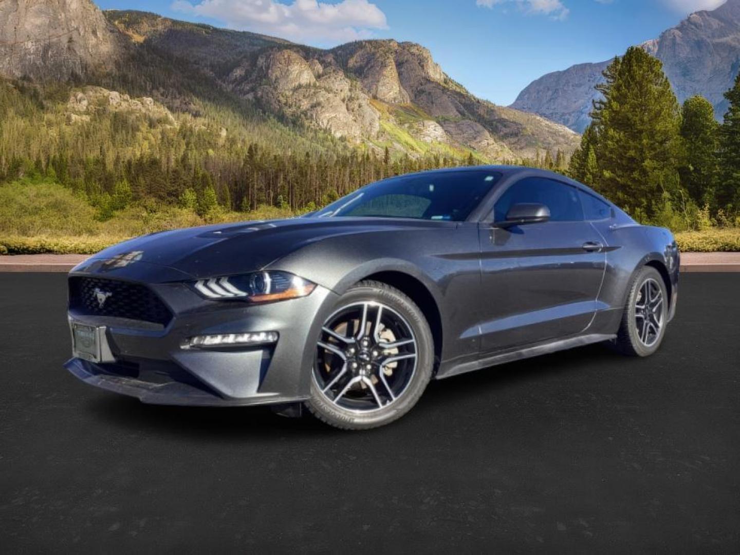 2020 GRAY /CLOTH Ford Mustang (1FA6P8TH3L5) with an 23 engine, Automatic transmission, located at 1175 N Woodruff Ave, Idaho Falls, ID, 83401, 43.506901, -111.999657 - At Timberline Auto, finding a great deal on your next vehicle is always easy! Our experienced sales staff's goal is to help find you the right vehicle at the right price! Our knowledgeable finance department has options for almost any credit score. We offer extended service contract options to prote - Photo#1