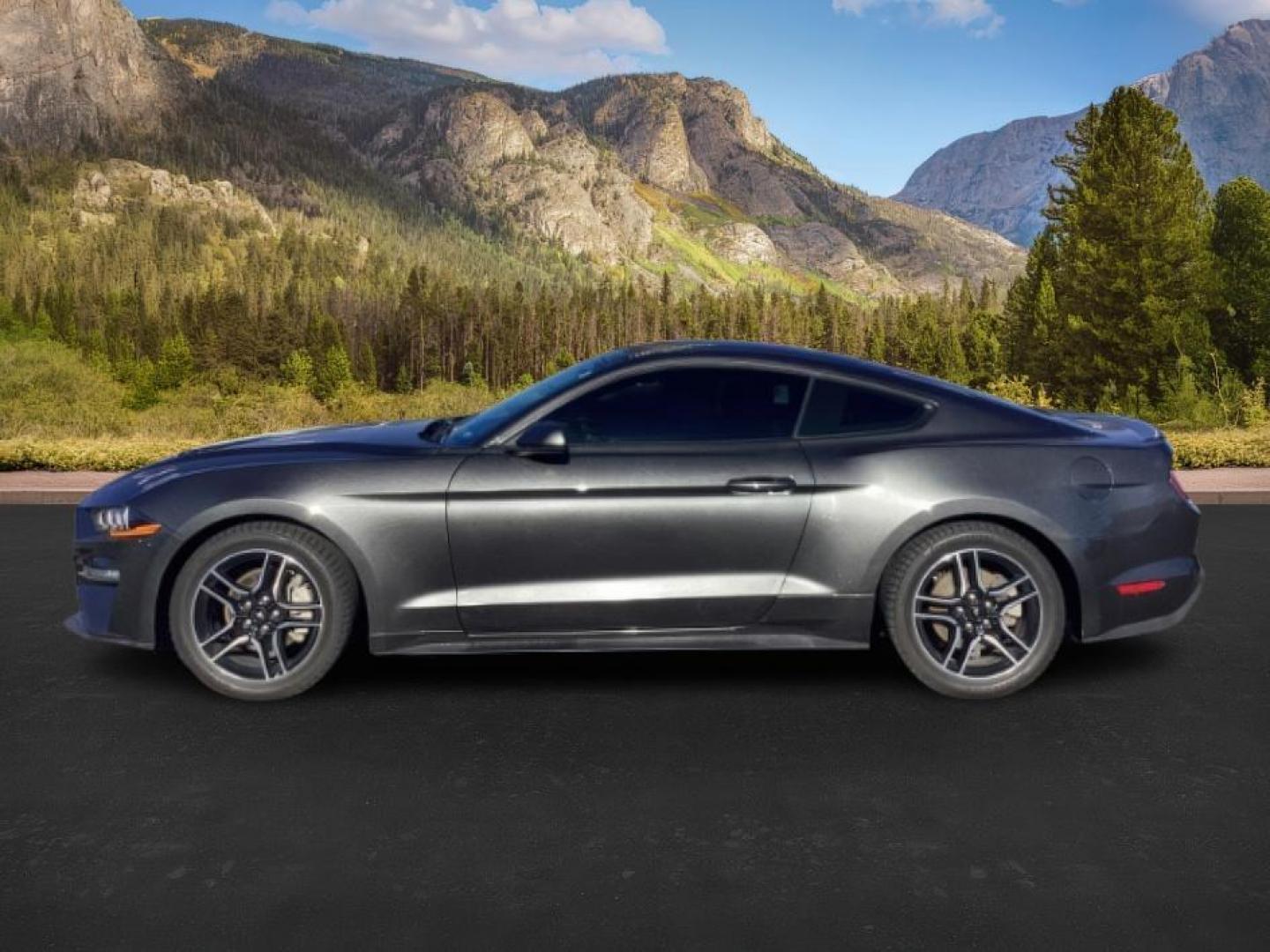 2020 GRAY /CLOTH Ford Mustang (1FA6P8TH3L5) with an 23 engine, Automatic transmission, located at 1175 N Woodruff Ave, Idaho Falls, ID, 83401, 43.506901, -111.999657 - At Timberline Auto, finding a great deal on your next vehicle is always easy! Our experienced sales staff's goal is to help find you the right vehicle at the right price! Our knowledgeable finance department has options for almost any credit score. We offer extended service contract options to prote - Photo#2