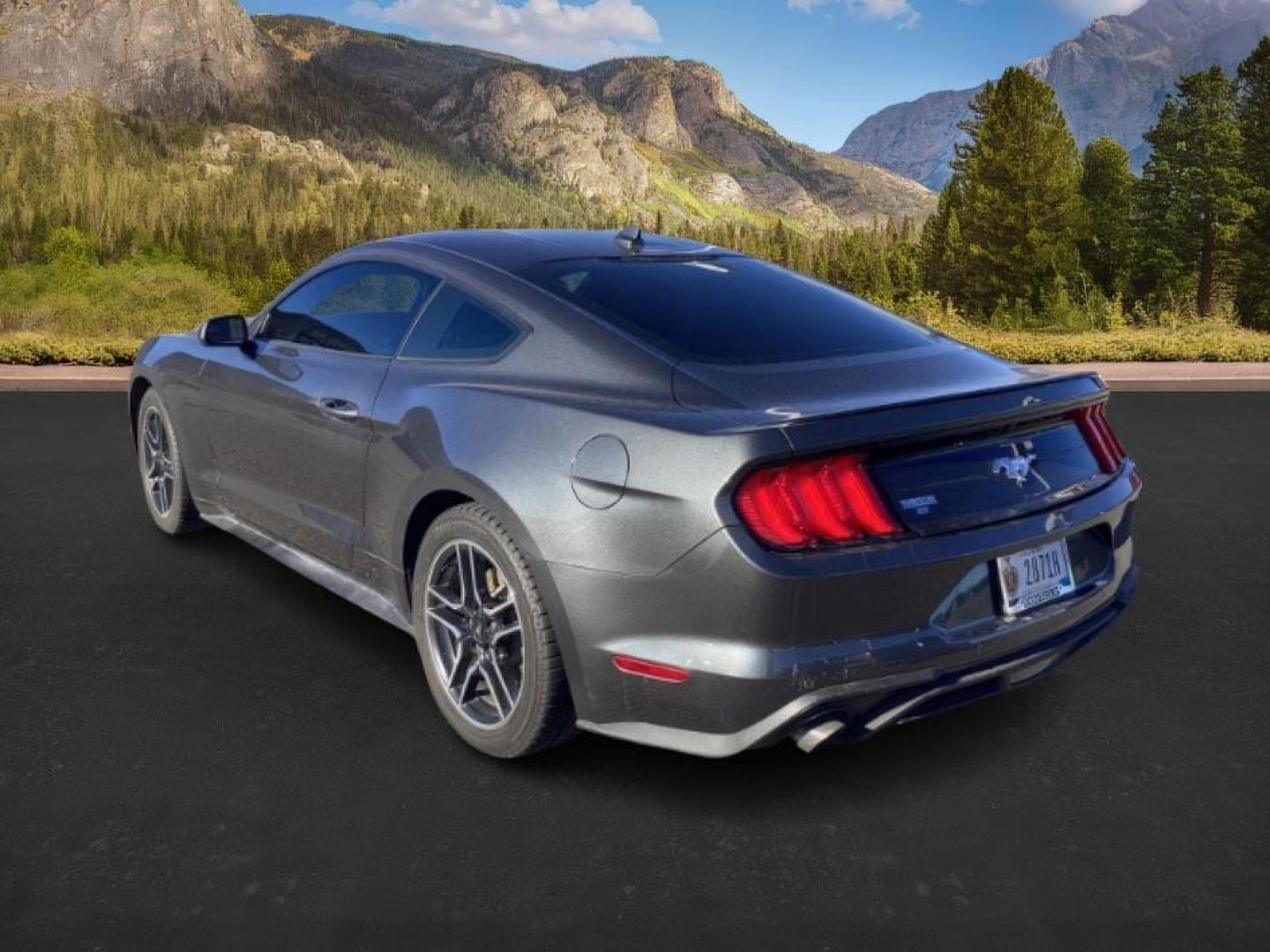 2020 GRAY /CLOTH Ford Mustang (1FA6P8TH3L5) with an 23 engine, Automatic transmission, located at 1175 N Woodruff Ave, Idaho Falls, ID, 83401, 43.506901, -111.999657 - At Timberline Auto, finding a great deal on your next vehicle is always easy! Our experienced sales staff's goal is to help find you the right vehicle at the right price! Our knowledgeable finance department has options for almost any credit score. We offer extended service contract options to prote - Photo#3