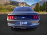 2020 GRAY /CLOTH Ford Mustang (1FA6P8TH3L5) with an 23 engine, Automatic transmission, located at 1175 N Woodruff Ave, Idaho Falls, ID, 83401, 43.506901, -111.999657 - At Timberline Auto, finding a great deal on your next vehicle is always easy! Our experienced sales staff's goal is to help find you the right vehicle at the right price! Our knowledgeable finance department has options for almost any credit score. We offer extended service contract options to prote - Photo#4