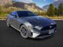 2020 GRAY /CLOTH Ford Mustang (1FA6P8TH3L5) with an 23 engine, Automatic transmission, located at 1175 N Woodruff Ave, Idaho Falls, ID, 83401, 43.506901, -111.999657 - At Timberline Auto, finding a great deal on your next vehicle is always easy! Our experienced sales staff's goal is to help find you the right vehicle at the right price! Our knowledgeable finance department has options for almost any credit score. We offer extended service contract options to prote - Photo#7