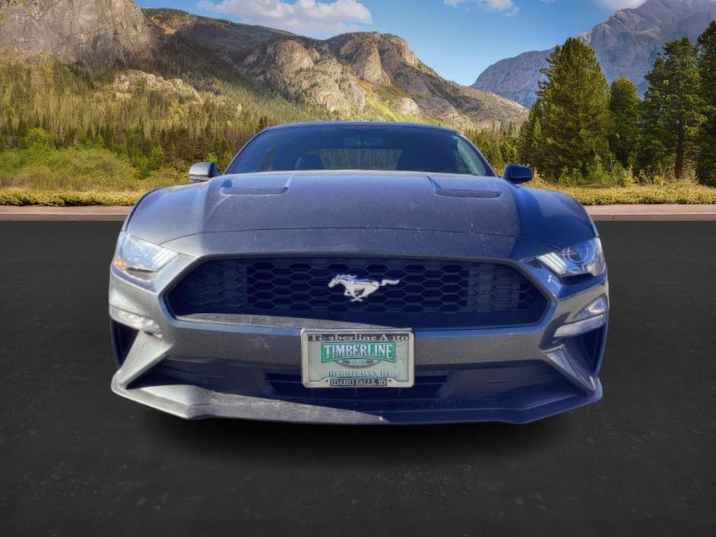 2020 GRAY /CLOTH Ford Mustang (1FA6P8TH3L5) with an 23 engine, Automatic transmission, located at 1175 N Woodruff Ave, Idaho Falls, ID, 83401, 43.506901, -111.999657 - At Timberline Auto, finding a great deal on your next vehicle is always easy! Our experienced sales staff's goal is to help find you the right vehicle at the right price! Our knowledgeable finance department has options for almost any credit score. We offer extended service contract options to prote - Photo#8