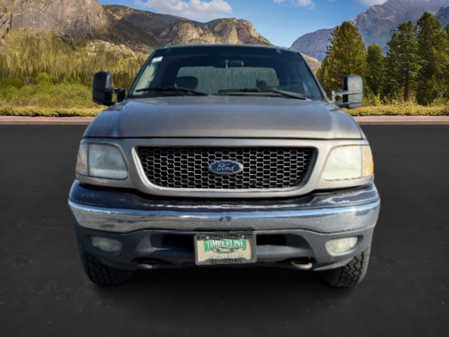 2001 GOLD /CLOTH Ford F-150 (1FTRX18L61N) with an 54 engine, Automatic transmission, located at 1175 N Woodruff Ave, Idaho Falls, ID, 83401, 43.506901, -111.999657 - At Timberline Auto, finding a great deal on your next vehicle is always easy! Our experienced sales staff's goal is to help find you the right vehicle at the right price! Our knowledgeable finance department has options for almost any credit score. We offer extended service contract options to prote - Photo#6