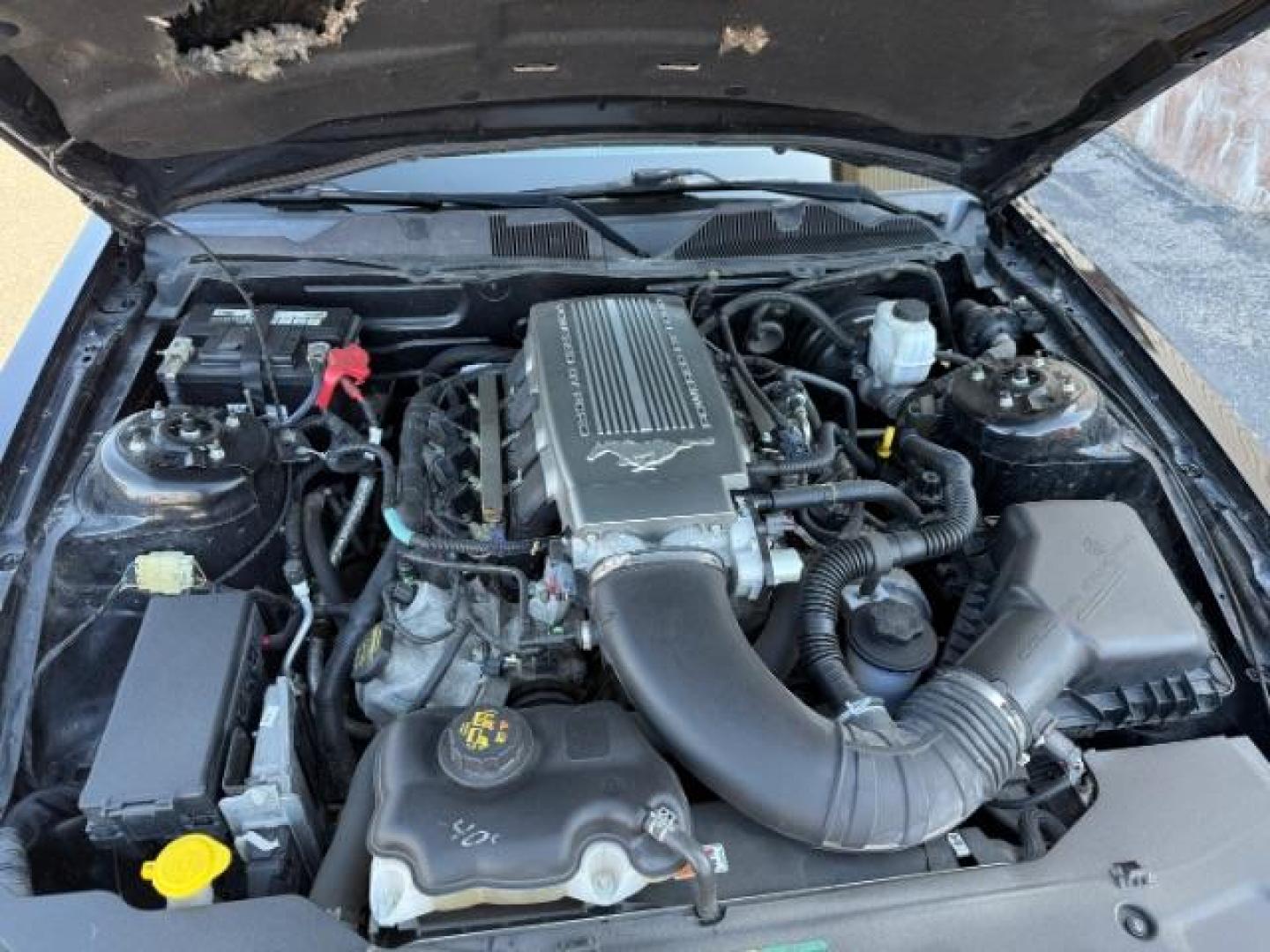2010 BLACK /LEATHER Ford Mustang GT (1ZVBP8CH6A5) with an 4.6L V8 SOHC 24V engine, MANUAL transmission, located at 1235 N Woodruff Ave., Idaho Falls, 83401, (208) 523-1053, 43.507172, -112.000488 - Photo#9