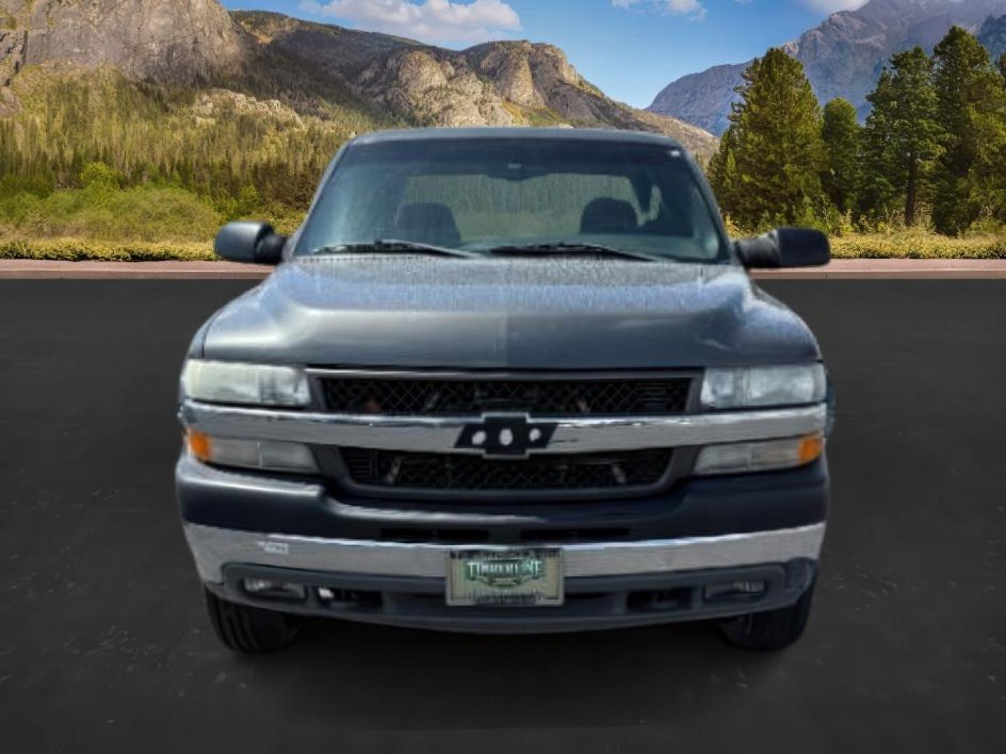 2001 GRAY /Graphite Cloth Chevrolet Silverado 2500HD LS Crew Cab Long Bed 4WD (1GCHK23131F) with an 6.6L V8 OHV 32V TURBO DIESEL engine, 5-Speed Automatic transmission, located at 1235 N Woodruff Ave., Idaho Falls, 83401, (208) 523-1053, 43.507172, -112.000488 - At Timberline Auto, finding a great deal on your next vehicle is always easy! Our experienced sales staff's goal is to help find you the right vehicle at the right price! Our knowledgeable finance department has options for almost any credit score. We offer extended service contract options to prote - Photo#7
