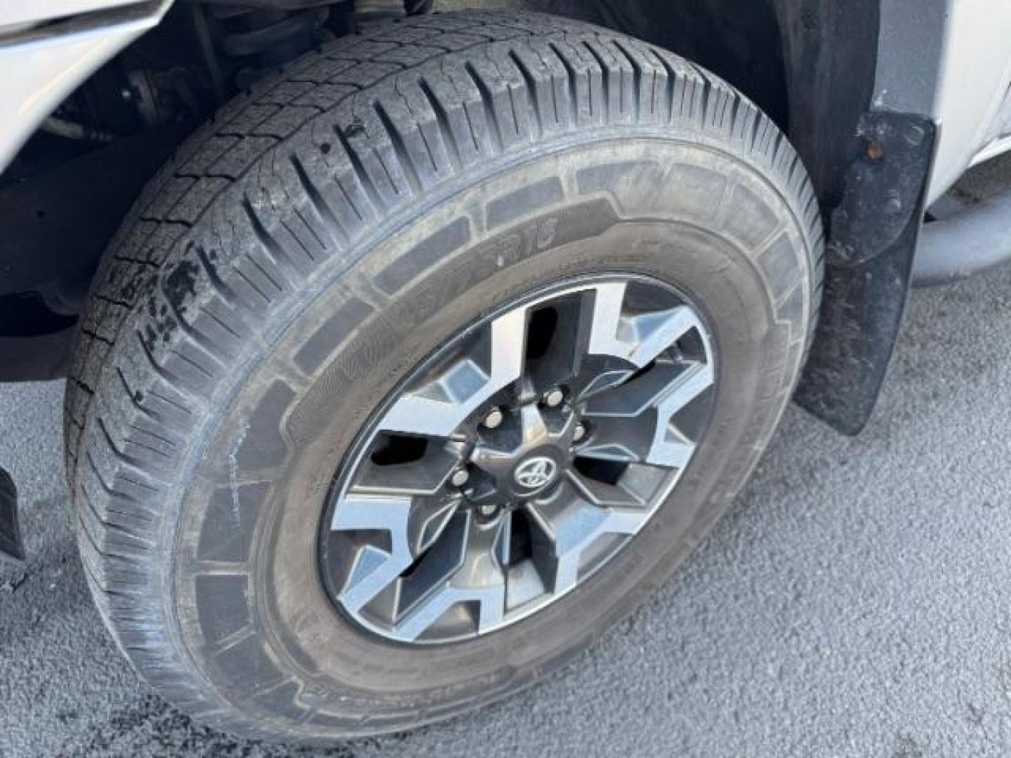2014 SILVER /CLOTH TOYOTA TACOMA BASE (3TMLU4EN4EM) with an 3.5 engine, AUTOMATIC transmission, located at 1235 N Woodruff Ave., Idaho Falls, 83401, (208) 523-1053, 43.507172, -112.000488 - Photo#11