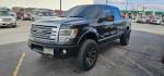 2013 BLACK /BLACK FORD F150 PLATINUM (1FTFW1ET8D1) with an V8 3.5L ECOBOOST engine, AUTOMATIC transmission, located at 1235 N Woodruff Ave., Idaho Falls, 83401, (208) 523-1053, 43.507172, -112.000488 - At Timberline Auto, finding a great deal on your next vehicle is always easy! Our experienced sales staff's goal is to help find you the right vehicle at the right price! Our knowledgeable finance department has options for almost any credit score. We offer extended service contract options to prote - Photo#0